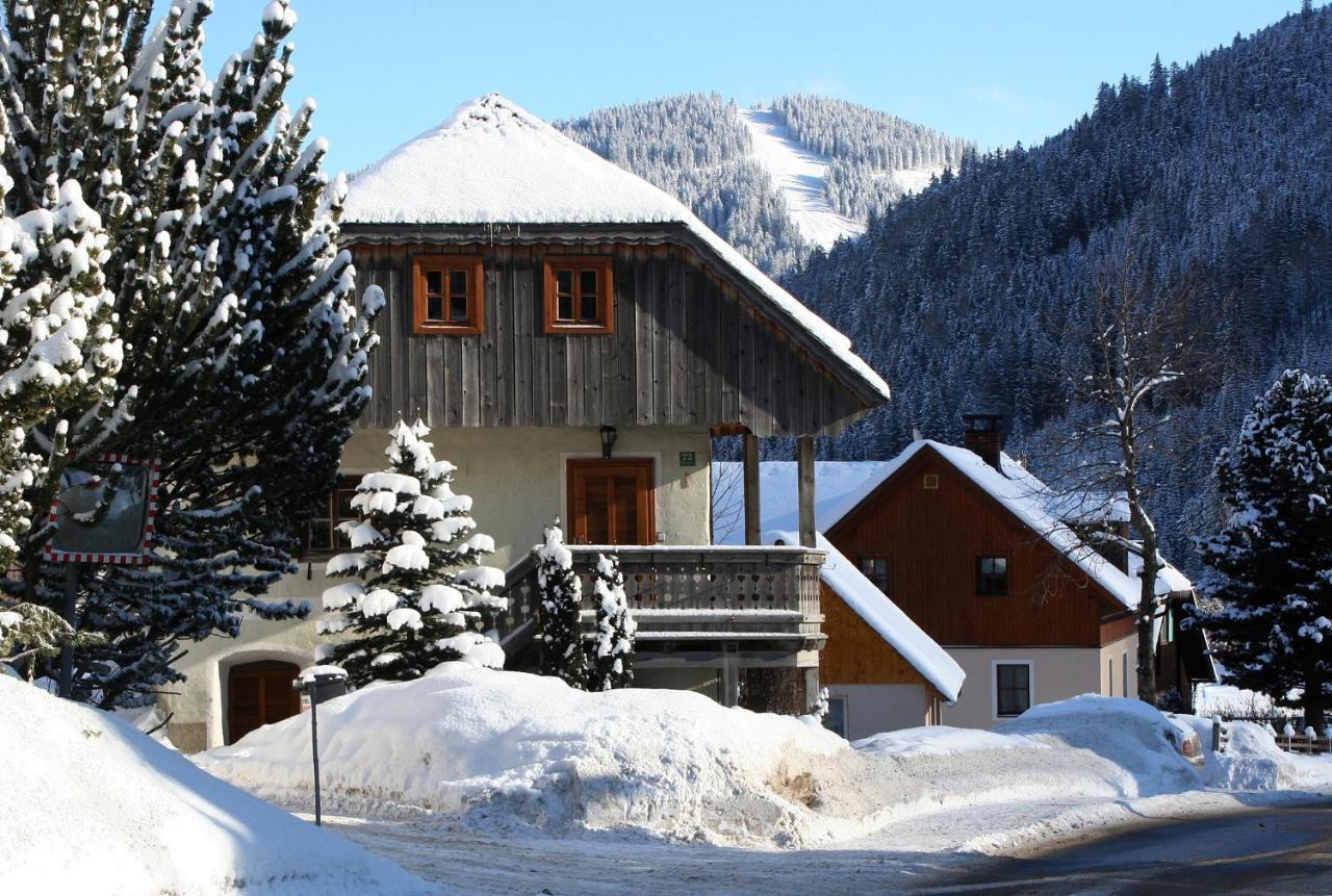 Ferienhaus Alte Muehle Hohentauern Exterior photo